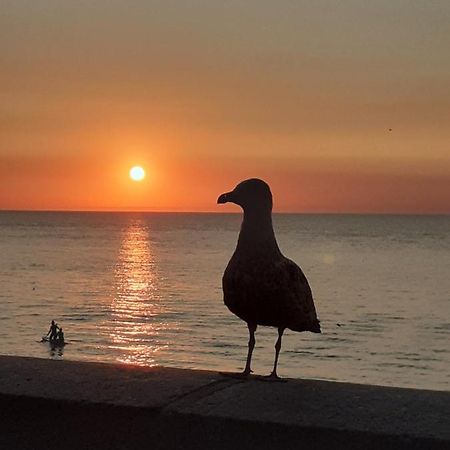 Camping Les Falaises De Toussaint Екстер'єр фото