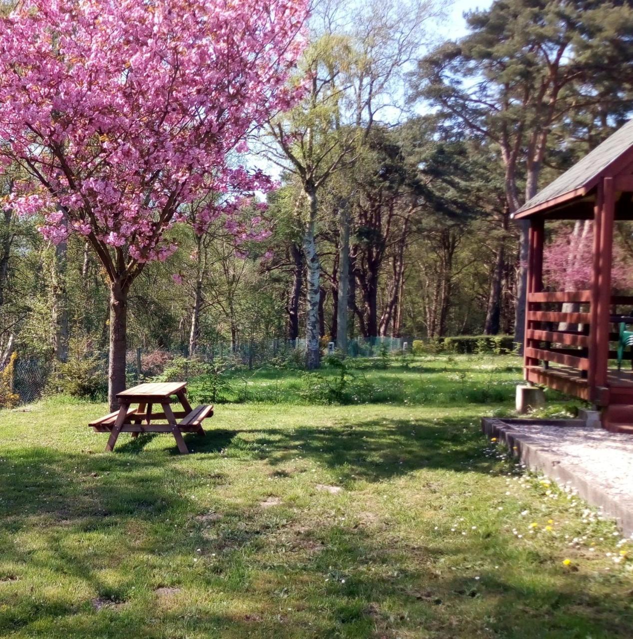Camping Les Falaises De Toussaint Екстер'єр фото